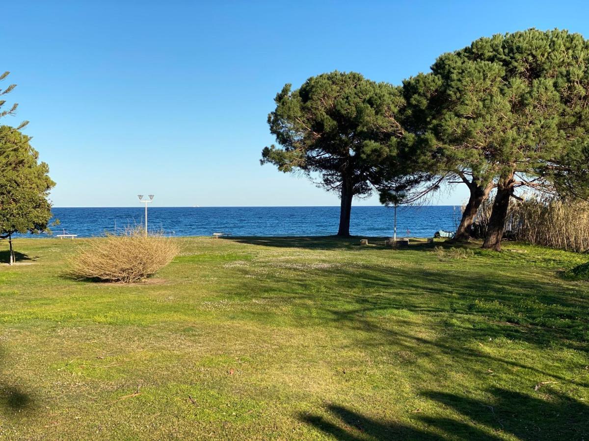 Residence Santa Lucia, Studio Avec Piscine , Vue Mer Et Pied Dans L'Eau , Moriani-Plage Экстерьер фото